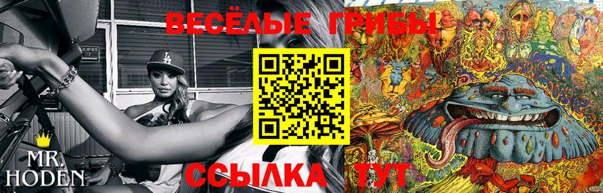 Псилоцибиновые грибы Psilocybine cubensis Оренбург