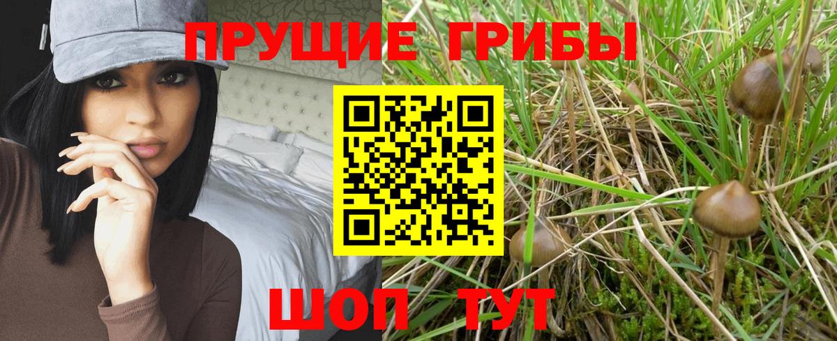 Псилоцибиновые грибы мухоморы  Псилоцибиновые грибы прущие грибы  Оренбург  Вход с VPN 